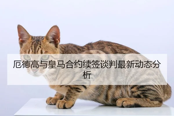 厄德高与皇马合约续签谈判最新动态分析