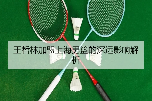 王哲林加盟上海男篮的深远影响解析