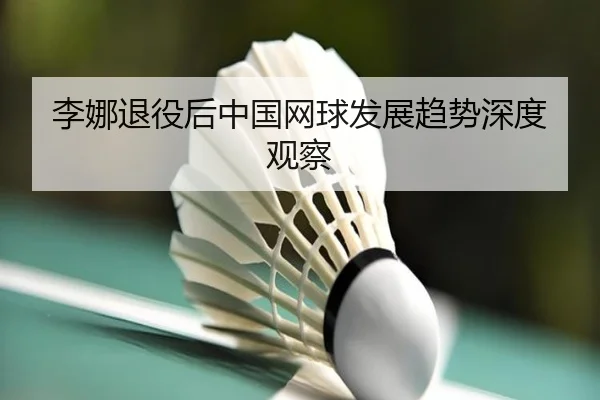 li-na-tui-yi-hou-zhong-guo-wang-qiu-fa-zhan-qu-shi-shen-du-guan-cha-2-271.jpg