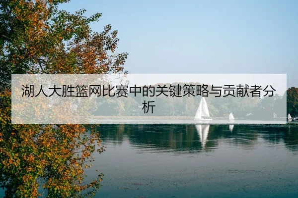 湖人大胜篮网比赛中的关键策略与贡献者分析