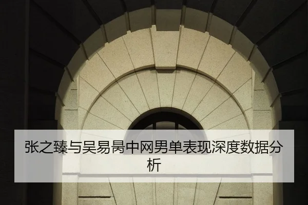 张之臻与吴易昺中网男单表现深度数据分析